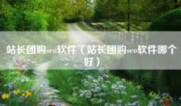 站长团购seo软件（站长团购seo软件哪个好）