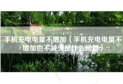 手机充电电量不增加（手机充电电量不增加也不减少是什么问题）