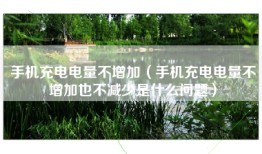 手机充电电量不增加（手机充电电量不增加也不减少是什么问题）