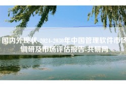 国内外现状-2024-2030年中国管理软件市场调研及市场评估报告-共研网
