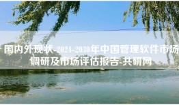 国内外现状-2024-2030年中国管理软件市场调研及市场评估报告-共研网