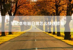 笔记本电脑白屏怎么快速修复