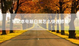 笔记本电脑白屏怎么快速修复