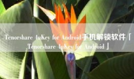 Tenorshare 4uKey for Android手机解锁软件「Tenorshare 4uKey for Android」