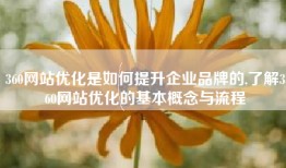 360网站优化是如何提升企业品牌的,了解360网站优化的基本概念与流程