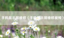 手机显示屏维修（手机显示屏维修视频）