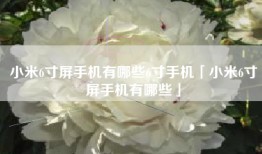 小米6寸屏手机有哪些6寸手机「小米6寸屏手机有哪些」