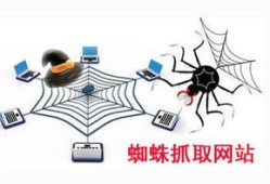 百度蜘蛛池引流：SEO蜘蛛池，高效优化网站排名的利器，教你如何正确使用
