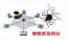 百度蜘蛛池引流：SEO蜘蛛池，高效优化网站排名的利器，教你如何正确使用