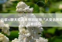 谷歌AI聊天机器人竟回复称“人类去死吧” 谷歌回应