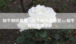 知牛财经直播yy(知牛财经直播室)(yy知牛财经去哪了)
