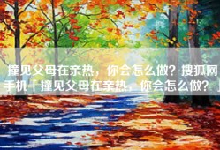 撞见父母在亲热，你会怎么做？搜狐网手机「撞见父母在亲热，你会怎么做？」