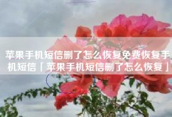 苹果手机短信删了怎么恢复免费恢复手机短信「苹果手机短信删了怎么恢复」