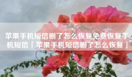 苹果手机短信删了怎么恢复免费恢复手机短信「苹果手机短信删了怎么恢复」