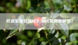 欧派家居智能化？家居有哪些种类？