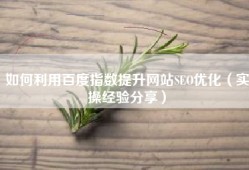 如何利用百度指数提升网站SEO优化（实操经验分享）