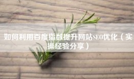 如何利用百度指数提升网站SEO优化（实操经验分享）