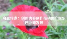 麻豆传媒：创新内容创作推动国产娱乐产业新发展