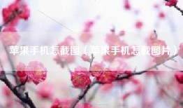 苹果手机怎截图（苹果手机怎截图片）