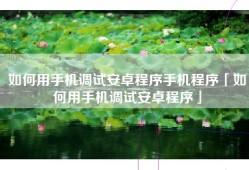 如何用手机调试安卓程序手机程序「如何用手机调试安卓程序」