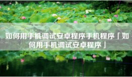 如何用手机调试安卓程序手机程序「如何用手机调试安卓程序」
