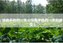 没有手机的一天（没有手机的一天的感受）