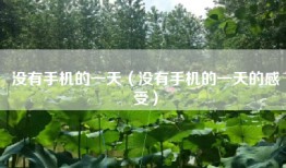 没有手机的一天（没有手机的一天的感受）