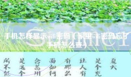 手机怎样显示wifi密码（家里wifi密码忘了手机怎么查）