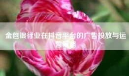 金包银行业在抖音平台的广告投放与运营策略