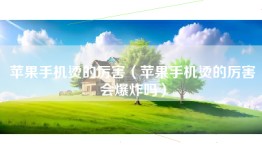 苹果手机烫的厉害（苹果手机烫的厉害会爆炸吗）