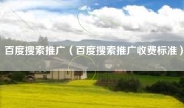 百度搜索推广（百度搜索推广收费标准）