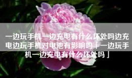一边玩手机一边充电有什么坏处吗边充电边玩手机对电池有影响吗「一边玩手机一边充电有什么坏处吗」