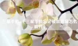 三星手机w（三星手机忘记锁屏图案怎么解开）