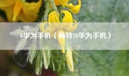 0华为手机（梅特70华为手机）