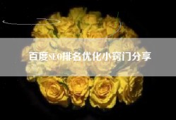 百度SEO排名优化小窍门分享