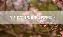 个人教学计划合集（优秀6篇）