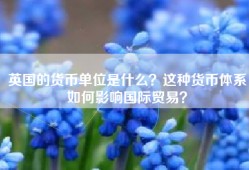 英国的货币单位是什么？这种货币体系如何影响国际贸易？