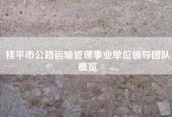 桂平市公路运输管理事业单位领导团队概览