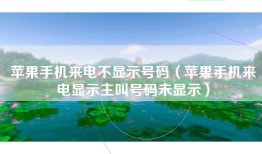 苹果手机来电不显示号码（苹果手机来电显示主叫号码未显示）