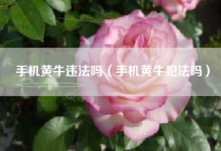 手机黄牛违法吗（手机黄牛犯法吗）