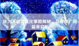 华为关键词优化策略揭秘，品牌推广新篇章启航
