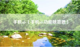手机nfs（手机nfs功能啥意思）