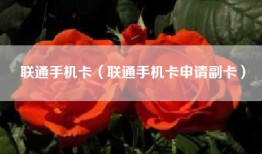 联通手机卡（联通手机卡申请副卡）