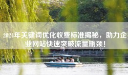 2024年关键词优化收费标准揭秘，助力企业网站快速突破流量瓶颈！
