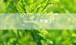 Open-Sora 开源了！