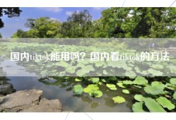 国内tiktok能用吗？国内看tiktok的方法