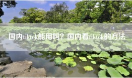 国内tiktok能用吗？国内看tiktok的方法