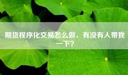 期货程序化交易怎么做，有没有人带我一下？