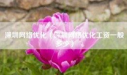 深圳网络优化（深圳网络优化工资一般多少）
