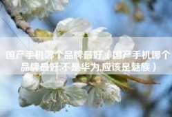 国产手机哪个品牌最好（国产手机哪个品牌最好,不是华为,应该是魅族）